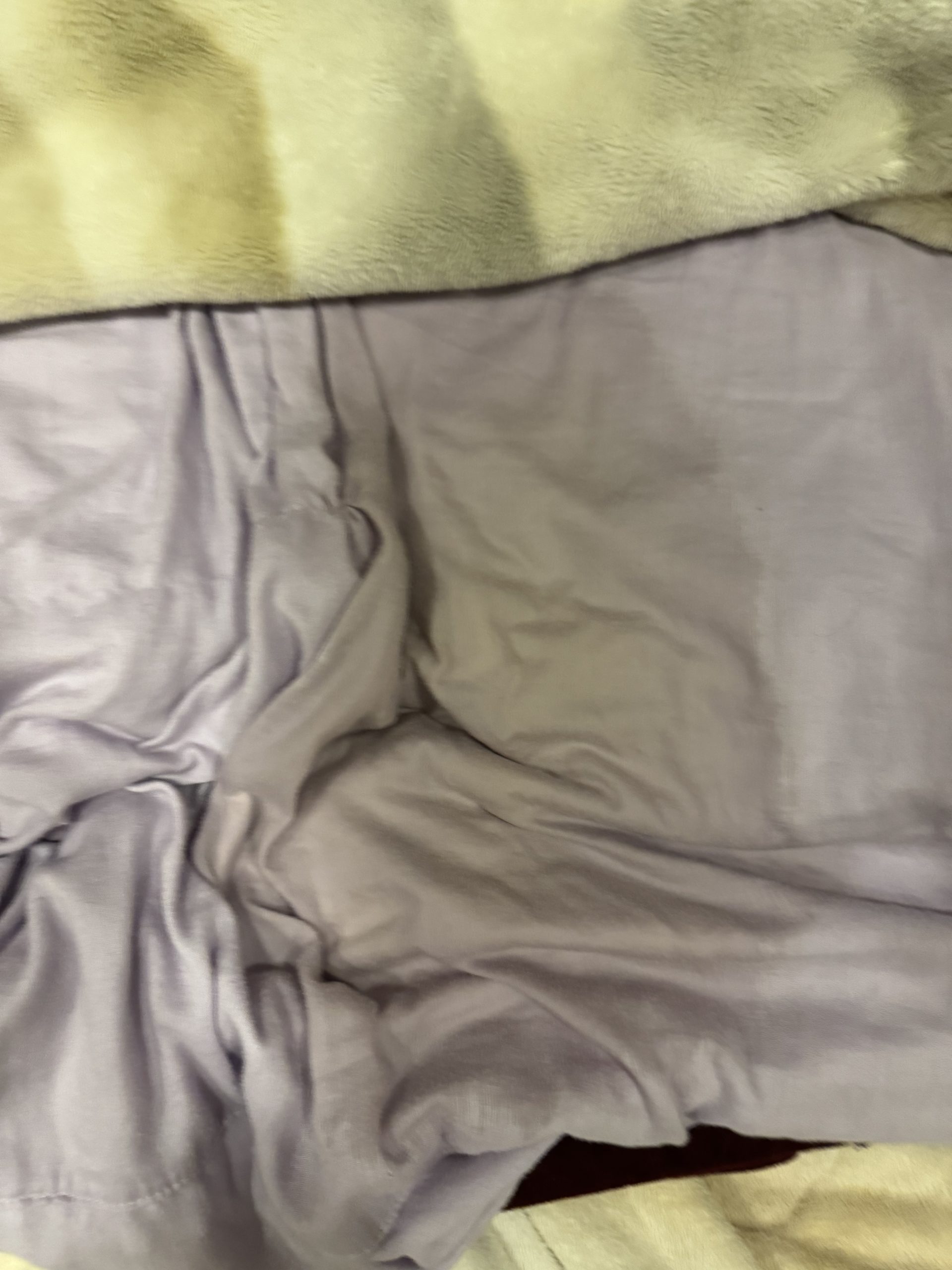 猫、布団、おしっこ